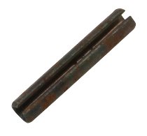 SPINA ELASTICA
