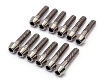 Ducati Fork screw kit, titan - 600/750/900 Monster NML