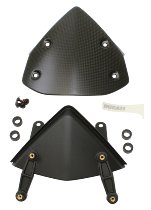 NML Ducati KIT Frontverkleidung CARBON
