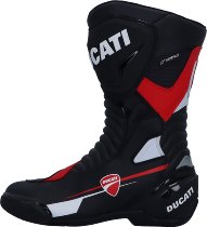 Ducati