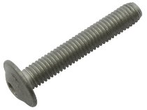 Moto Guzzi Schraube M5x30 - 1100, 1200 Griso, Stelvio, V11