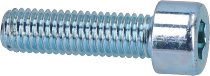 Moto Guzzi Screw M10x35 - Le Mans 1-5, 1000 SP, 850 T5,