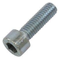 Moto Guzzi Screw