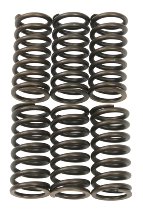 NML Aprilia clutch spring RSV 1000 (1 part)