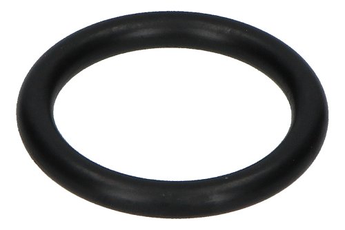 O-Ring 4087