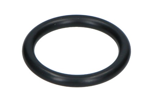 O-Ring 4093