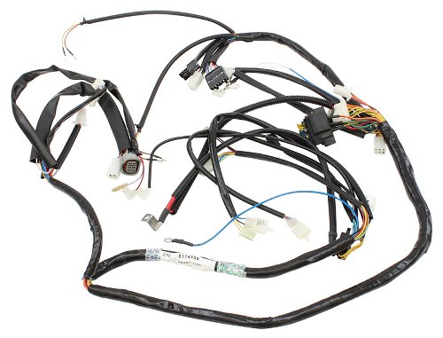Aprilia Kabelbaum - 125, 150, 200 Scarabeo Rotax