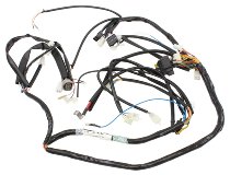 Aprilia Wiring harness - 125, 150, 200 Scarabeo Rotax