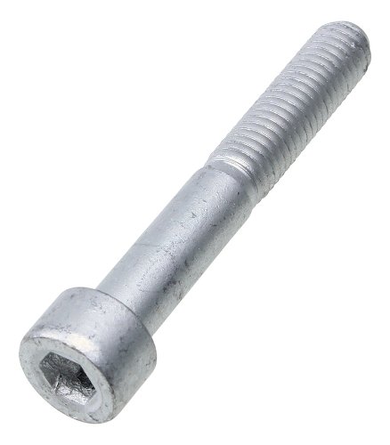 TCEI Schraube M8x55*