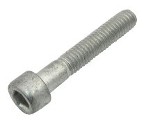 Moto Guzzi/Aprilia Screw M6x35 - V7, V9, V85 TT, California