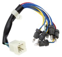 Aprilia Instrument wiring - 50 Scarabeo Minarelli NML