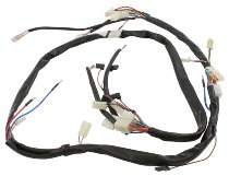 Aprilia Wiring harness - 50 SR AC Vertical Cylinder