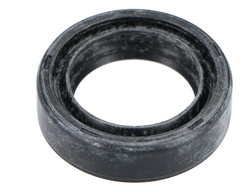 PARAOLIO