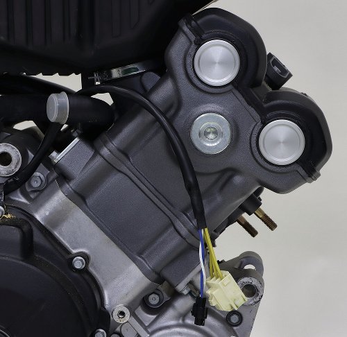 Aprilia engine, new – 750 Dorsoduro, Shiver