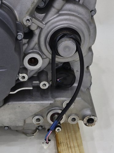 Aprilia engine, new – 1200 Caponord Rally