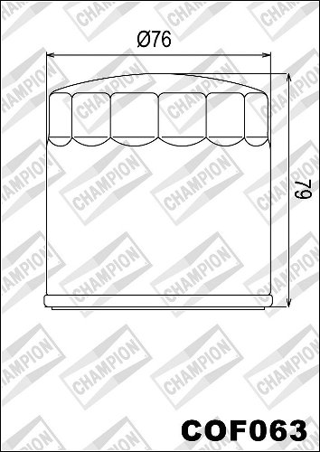 Champion Filtro de aceite COF063, white zinc finish - BMW