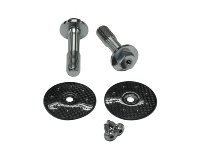 Carbonworld frame plug, front, carbon suitable for Ducati Streetfighter V4