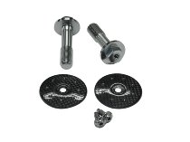 Carbonworld frame plug, front, carbon suitable for Ducati Panigale / Streetfighter V4