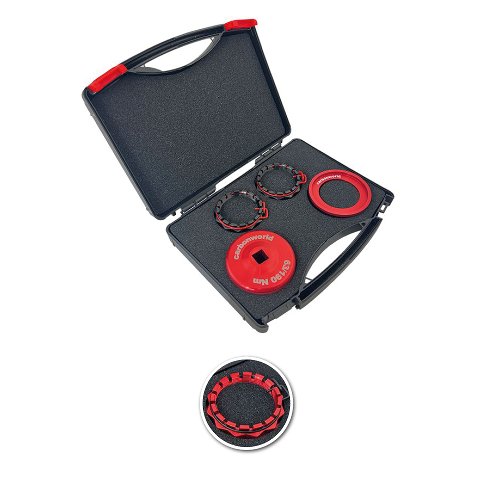 Carbonworld rear wheel nuts case set suitable for Ducati Panigale V4...