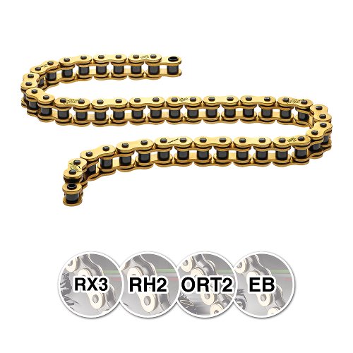 Regina chain 428