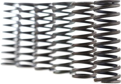 Muelles de embrague Ferodo FSS0519