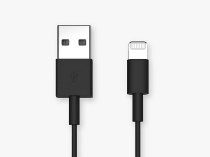 QUAD LOCK USB auf Lightning Kabel - 20 cm