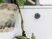 QUAD LOCK Adhesive Wall Mount
