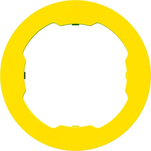 QUAD LOCK MAG Ring
