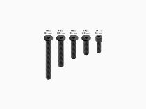 Set di viti QUAD LOCK Pro