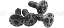 Carbonworld screw set, mudguard, front, titanium, black